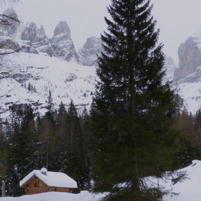 Malga Di Brenta Alta