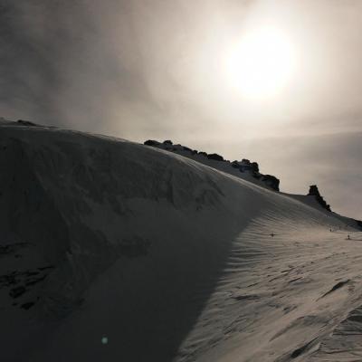 42 Verso La Schiena Di Asino