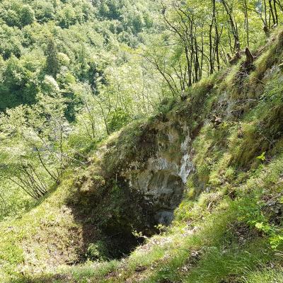 21 Disbosco Esterno Per Illuminare E Areare Ulteriormente La Grotta